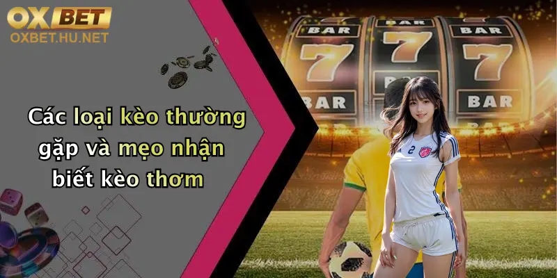 Các loại kèo thường gặp và mẹo nhận biết kèo thơm