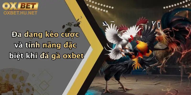 Đa dạng kèo cược và tính năng đặc biệt khi đá gà oxbet