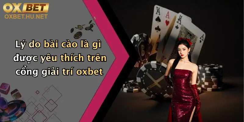 Lý do bài cào là gì được yêu thích trên cổng giải trí oxbet